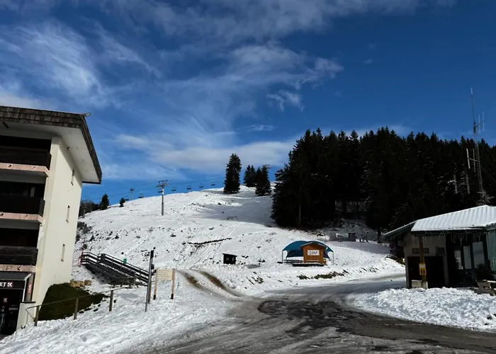 Apartamento Aux Pied Des Pistes Allevard
